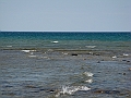 Western Michigan [2010] 845
